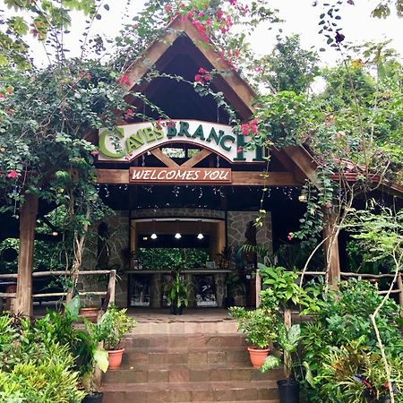 Ian Anderson Caves Branch Jungle Lodge Belmopan Exterior foto