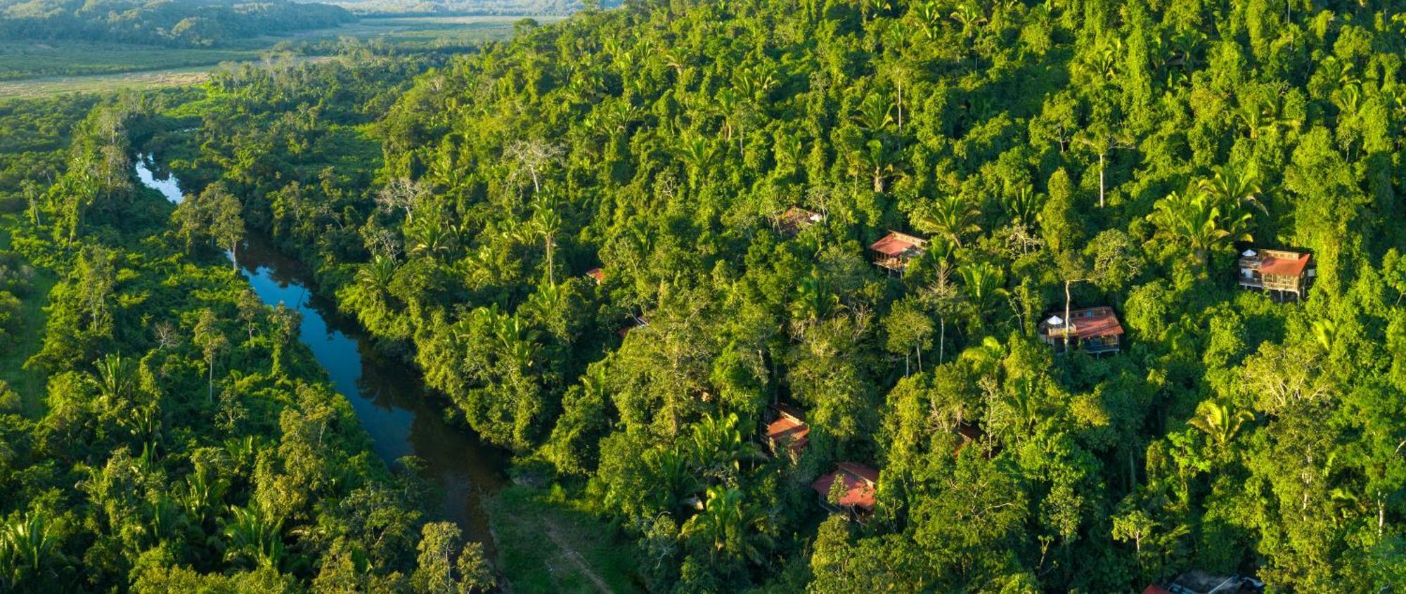 Ian Anderson Caves Branch Jungle Lodge Belmopan Exterior foto