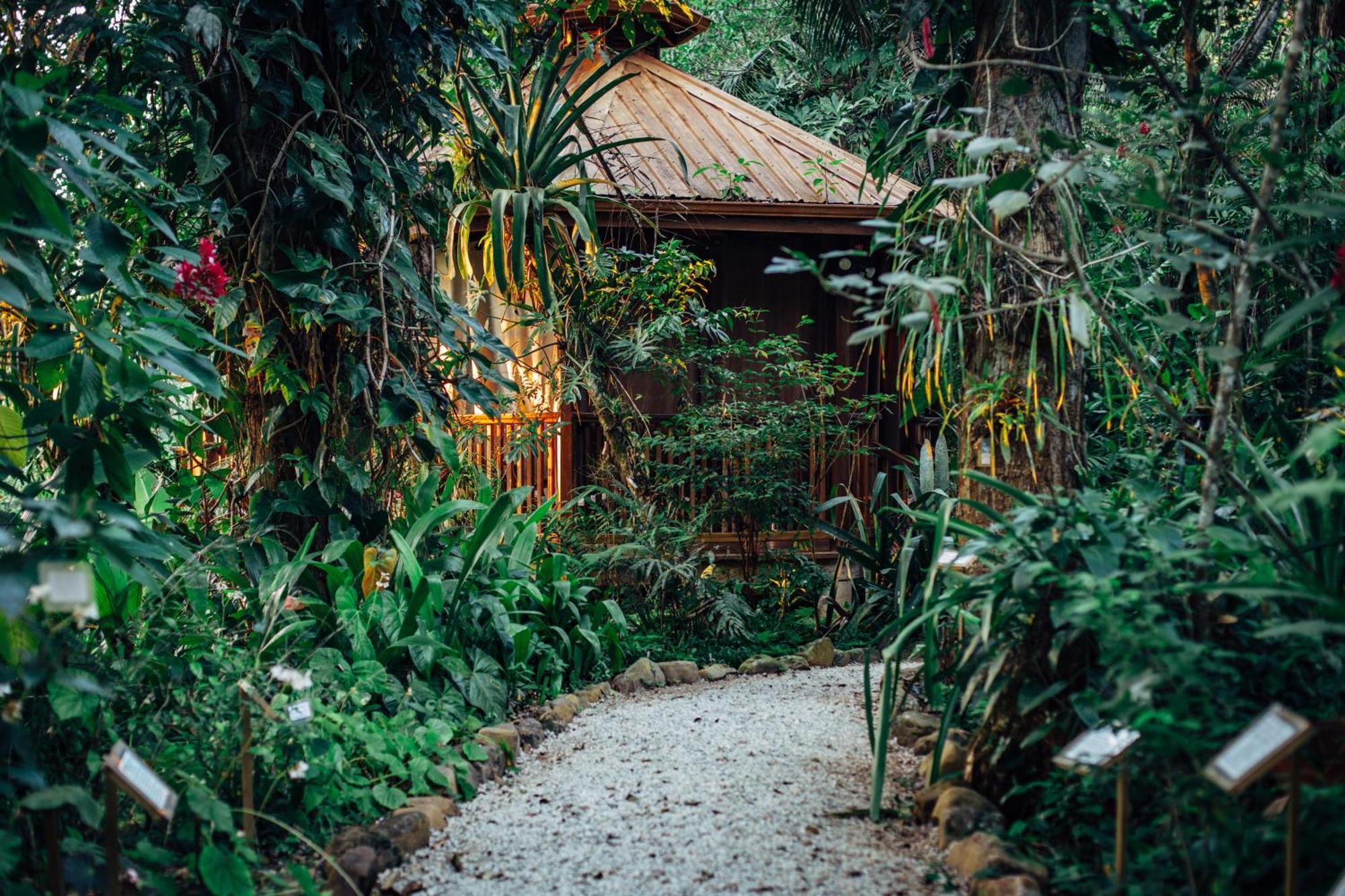 Ian Anderson Caves Branch Jungle Lodge Belmopan Exterior foto