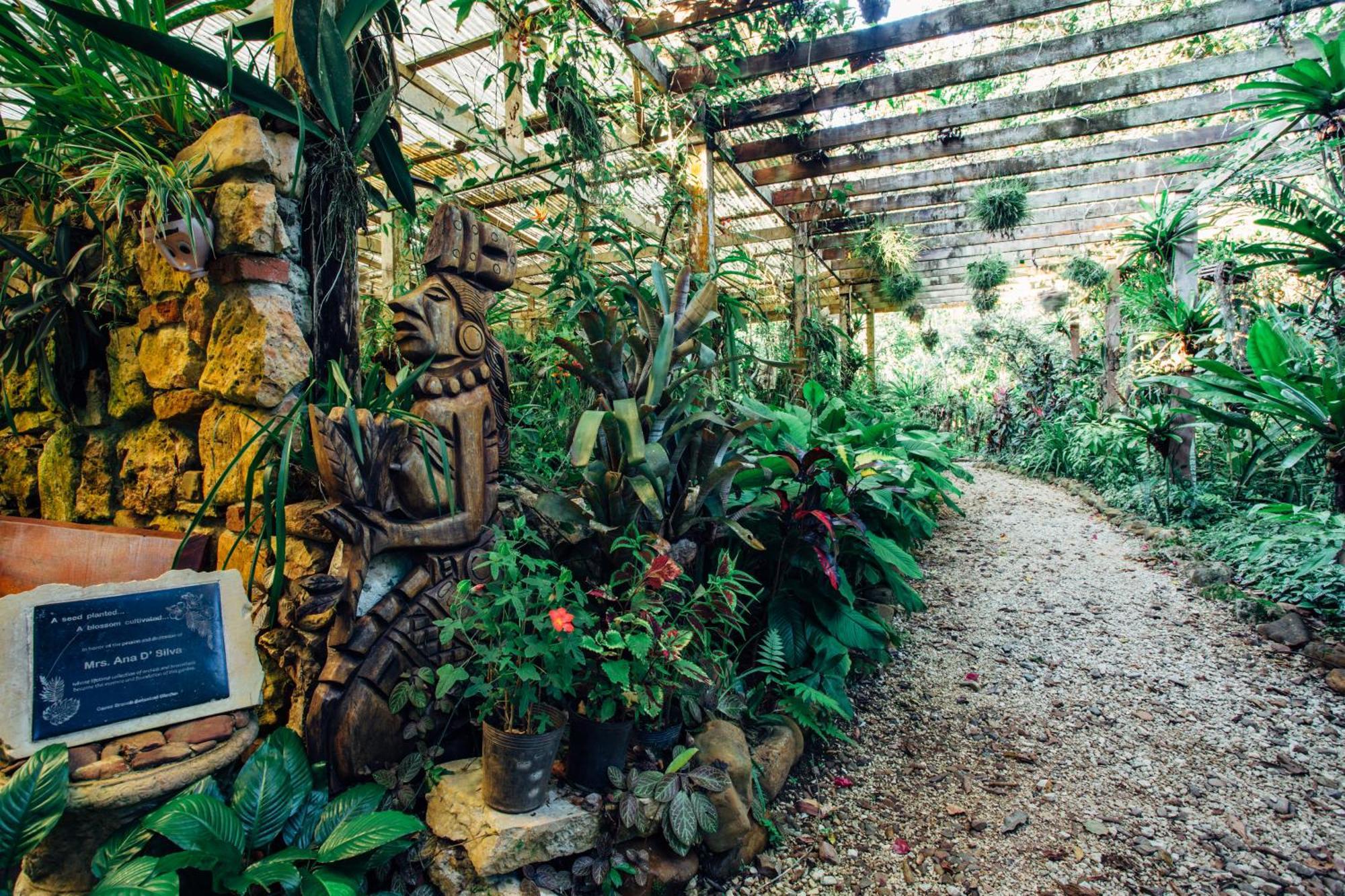Ian Anderson Caves Branch Jungle Lodge Belmopan Exterior foto